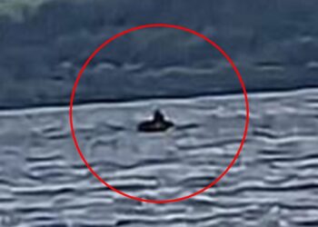 Is Nessie eindelijk gespot? Deze waarneming zal je geloof in het monster van Loch Ness nieuw leven inblazen!