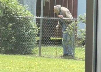 Man loopt naar hek als hij denkt dat er niemand is – verborgen camera filmt wat hij met honden doet