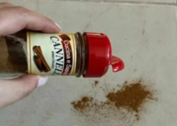 Heb jij last van mieren? Product dit handige trucje eens uit!