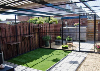 Ingrid (51): “Een kattenren zou verplicht moeten zijn voor alle katten die naar buiten mogen.”