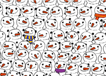 97% van de mensen kan de panda niet vinden in dit zoekplaatje. Lukt het jou wel?