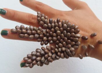 SUPERTIP: Met deze truc houd je teken uit je achtertuin