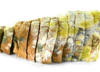 5 etenswaren die je hart mogelijk kunnen beschadigen. Vermijden dus!