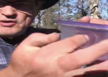 Boer deelt recept met 2 ingrediënten om voorgoed van muizen en ratten af te komen