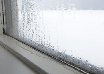 Schimmel en condens op je ramen: zo verwijder én voorkom je het