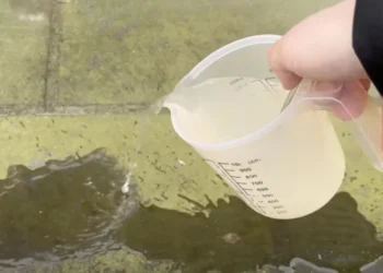 Groene aanslag op je tegels is zo verdwenen met dit ouderwetse middeltje