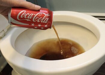 Dit is waarom je elk weekend cola door je wc moet spoelen.