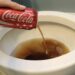 Dit is waarom je elk weekend cola door je wc moet spoelen.