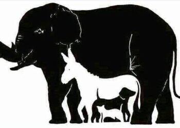 Lukt het om binnen 20 seconden alle 16 dieren te vinden?