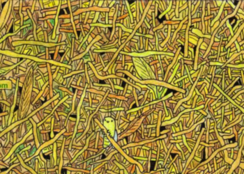 Alleen mensen met een hoog IQ kunnen de speld in de hooiberg vinden. Lukt het jou?