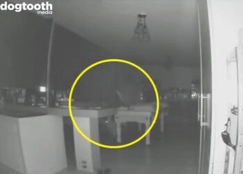 Stel ziet dat de hond vreemd doet. Dan zien ze de angstaanjagende camerabeelden