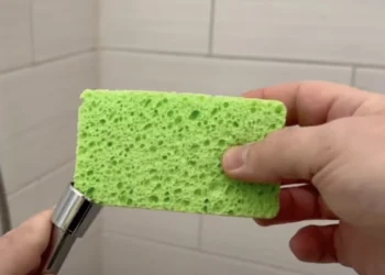 Steek een spons in de doucheslang en kijk wat er gebeurt