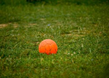 “Ik ben het zat! Hoeveel ballen in mijn tuin moet ik nog tolereren van die onverantwoordelijke buren?”