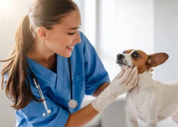 Lotte: “Als je nog vlees eet hou je niet echt van dieren!”