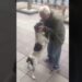 Hond leeft drie jaar op straat, maar dan hoort hij een vertrouwde stem…