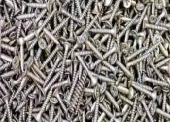 Weinig mensen kunnen dit raadsel oplossen: Kun jij de veer vinden tussen de schroeven?