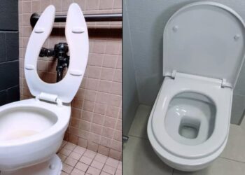 Huh!? Dit is dus waarom sommige toiletbrillen een open voorkant hebben