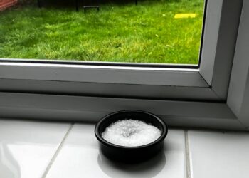 Supertip: Dit is waarom je vandaag nog een schaaltje zout voor je raam moet zetten