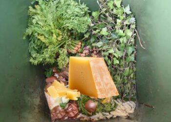 Deze 7 dingen mogen dus echt niet in de GFT-bak!