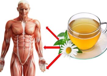 Dit zijn de voordelen van kamillethee bij handkrampen