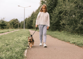 Doe dit niet als je een gelukkige hond wil tijdens het uitlaten