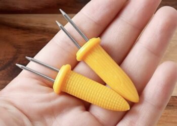 Dit bijzondere object vond ik tussen het kookgerei van mijn buurman…