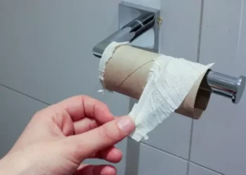 Wat gebruikten mensen vóór de uitvinding van toiletpapier? Het antwoord zal je verbazen!