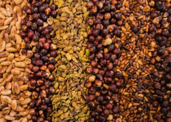 Welke noten zijn eigenlijk het gezondst? Dit zijn de gezondste opties!