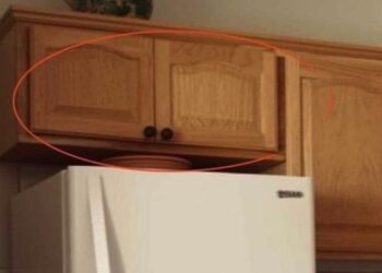 Als je deze keukenkastjes boven je koelkast hebt, kun je maar beter weten waar ze voor zijn