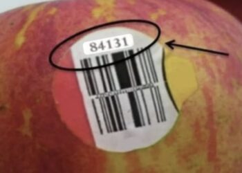 De verborgen boodschap achter de cijfers op fruitstickers – wist jij dit..