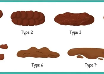 Dít vertellen deze 10 ‘poepsoorten’ je over jouw gezondheid! (wist ik dit maar eerder)