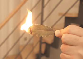 Hij steekt een laurierblad thuis aan. Dit heb ik nooit geweten!