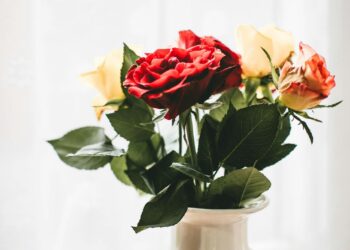 Met deze simpele tip hou jij je bos bloemen veel langer mooi