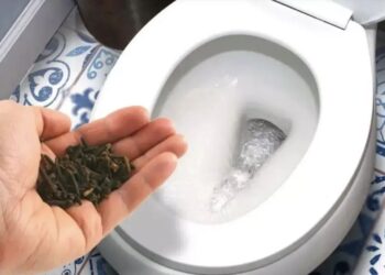 Zo verwijder je de geur van urine uit het toilet en laat je een heerlijke geur achter!