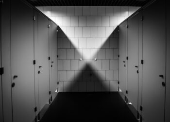 Op deze manier kies je iedere keer weer het schoonste wc-hokje!