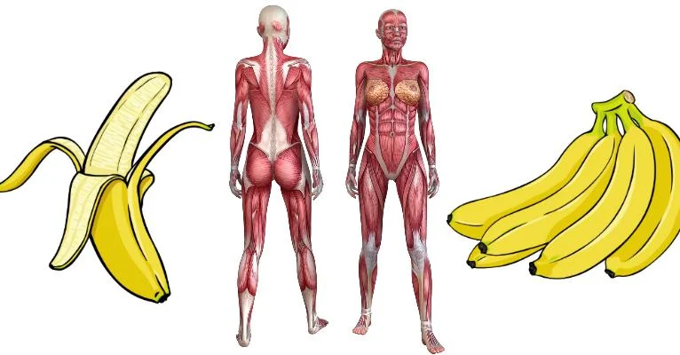 Dit gebeurt er met je lichaam wanneer je twee maanden lang 2 bananen per dag eet