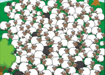 Alleen mensen met scherpe ogen zien de hond, de extra scherpe mensen zien ook nog eens het slapende schaap