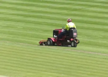 Maai je gazon niet eerder dan deze maand! (dit is waarom)