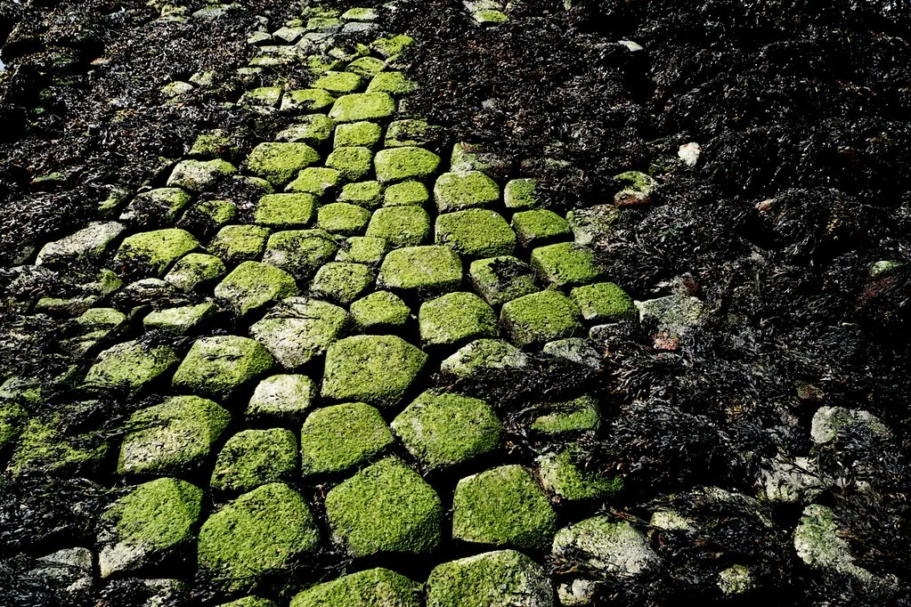 Wist je dat je op deze manier met aardappelwater je groene aanslag kan verwijderen?