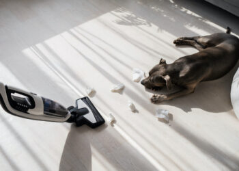 Je huisdier bang voor de stofzuiger? Dit is waarom!