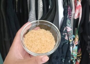 Waarom steeds meer mensen een kommetje rijst in de kledingkast zetten