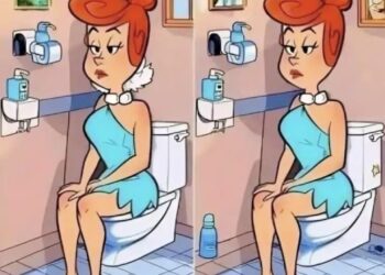 Kun jij de 6 verschillen in deze afbeelding vinden?