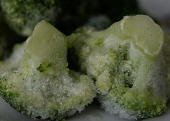 Vriezer ontdooid? Zo weet je of je eten nog kan eten!