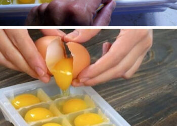 Breek de eieren in een ijsblokjeshouder en plaats ze in de vriezer. Dit is waarom