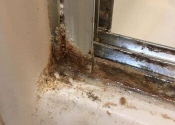 Zo maak je douchedeuren schoon met 2 eenvoudige ingrediënten