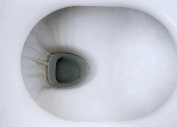 Dit eenvoudige trucje zorgt ervoor dat je nooit meer bruine aanslag in je toilet hebt! (Werkt écht)