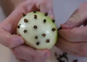 Daarom doet mijn grootmoeder altijd kruidnagels in uien