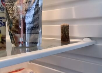 Dit is de reden waarom je een kurk in de koelkast moet leggen