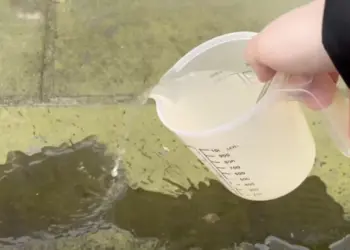 Groene aanslag op je tegels is zo verdwenen met dit ouderwetse middeltje