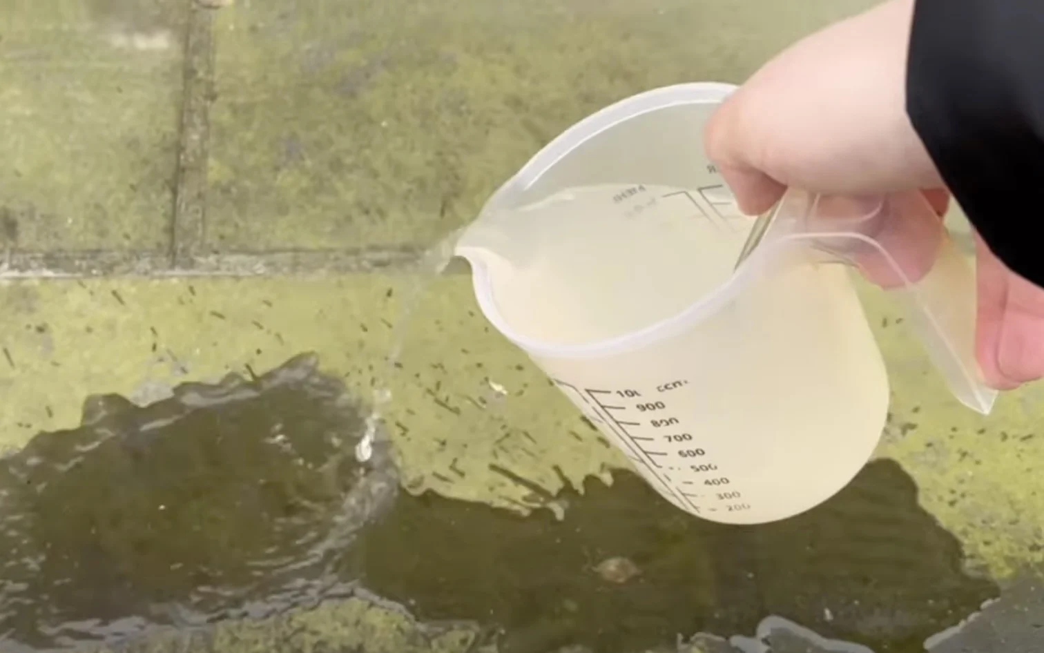 Groene aanslag op je tegels is zo verdwenen met dit ouderwetse middeltje